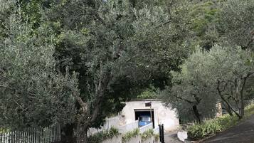 Parco della struttura