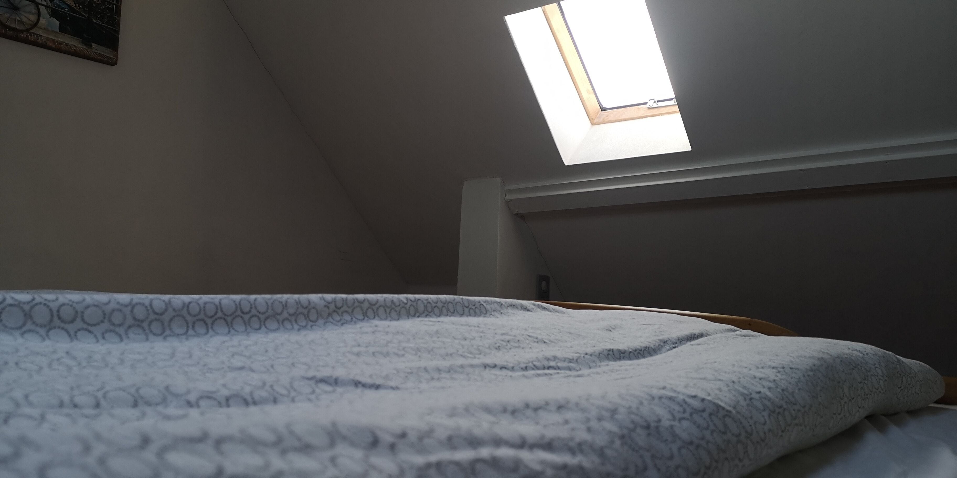 A bedroom with a skylight, a bed with a patterned blanket, and a wall-mounted painting.