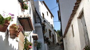 A narrow street with white buildings, terracotta roof tiles, and potted plants. - The countryside of Cruzchiquita (Alpandeire)
