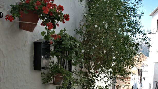 A narrow stone-paved alley with potted plants and flowers on the walls. - The countryside of Cruzchiquita (Alpandeire)