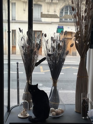 Vista frontal de la propiedad