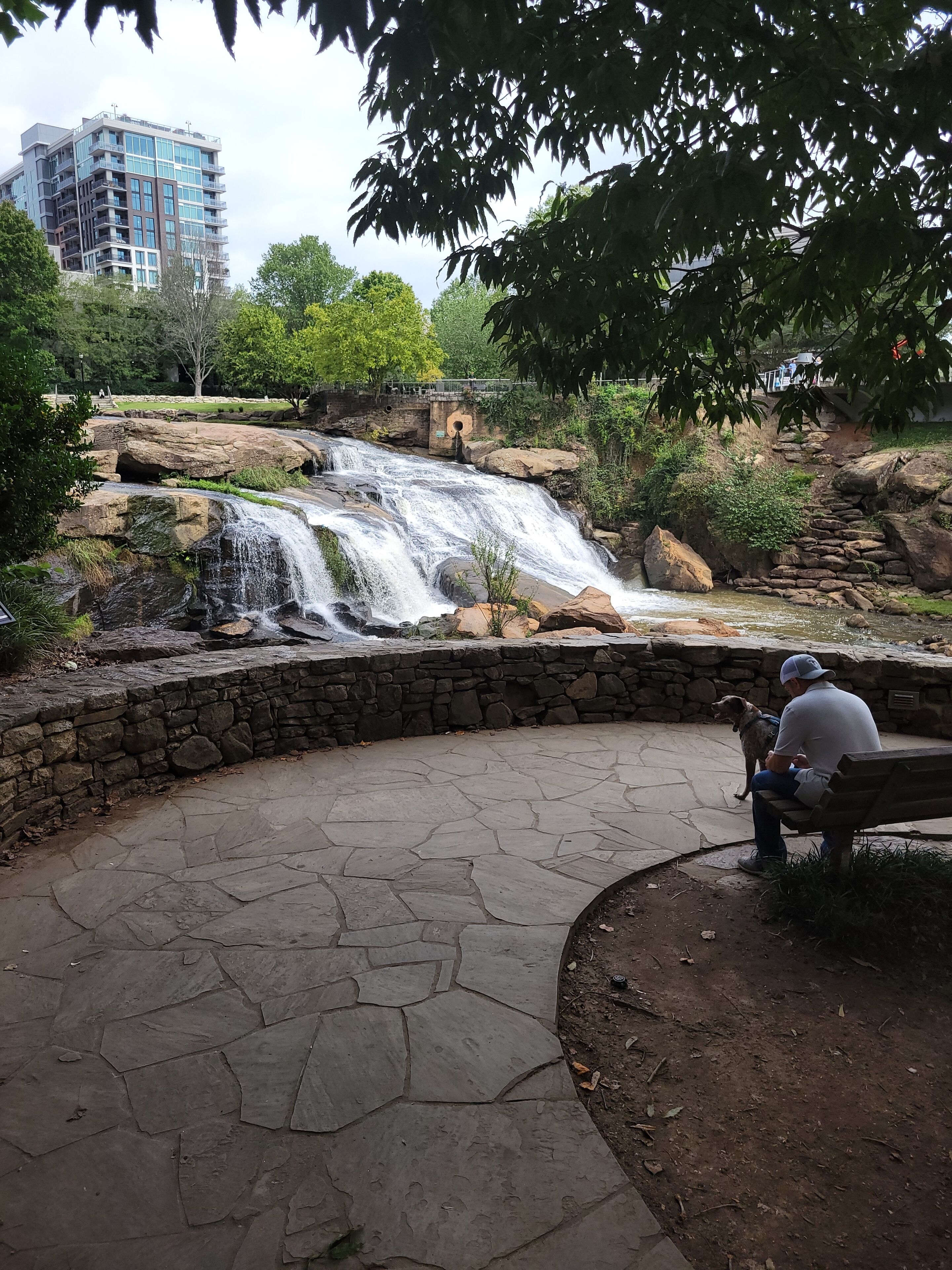Falls park downtown 10-15 mins. away! 