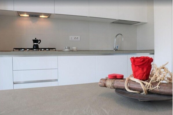 Kjøleskap, mikrobølgeovn, kokeplater og oppvaskmaskin