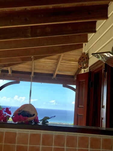 MONKEY PAW -BLUE CARIBBEAN MEETS MT NEVIS RAIN FORST