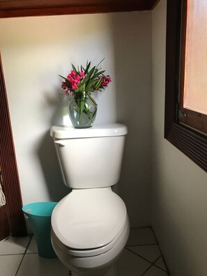 وحدات دش مع أحواض استحمام، مجففات شعر، مناشف، صابون