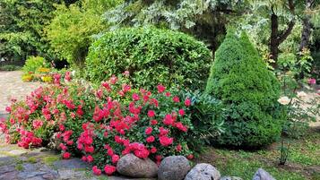 Un jardin avec différentes sortes de plantes et un banc.