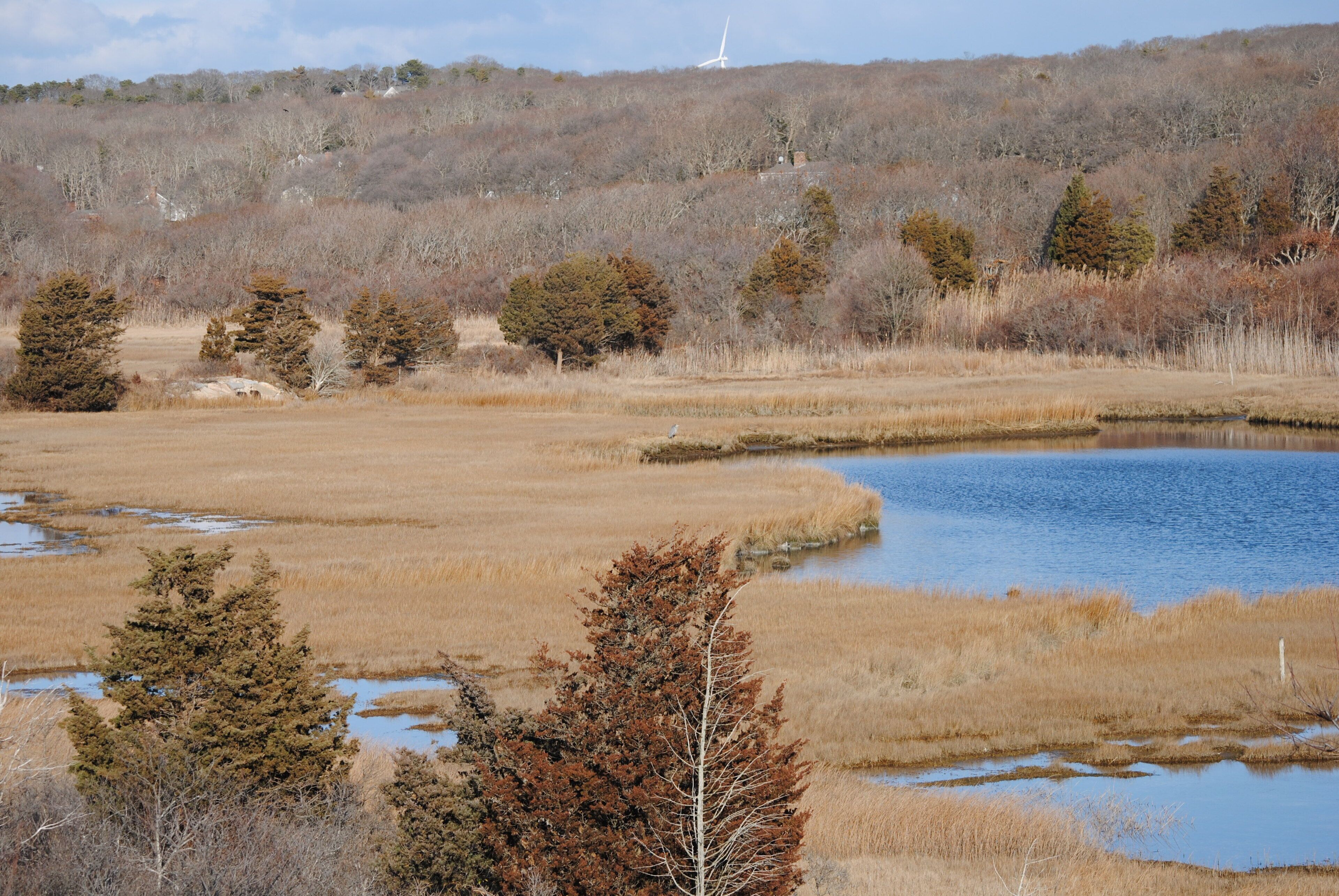 Charming Sea Side Cape Cod Cottage