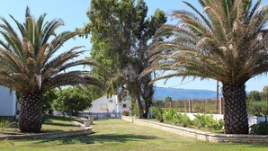 Unclassified image, 3 of 12, button - Corfu Sea Palm Residence (Corfu)