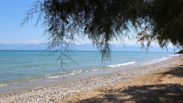 Unclassified image, 1 of 12, button - Corfu Sea Palm Residence (Corfu)