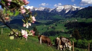 Apartment, 2 Bedrooms | Mountain view