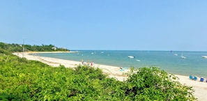 Playa en los alrededores y camastros 