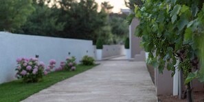 Property grounds - Black Diamond Apartment (RAŽANAC)