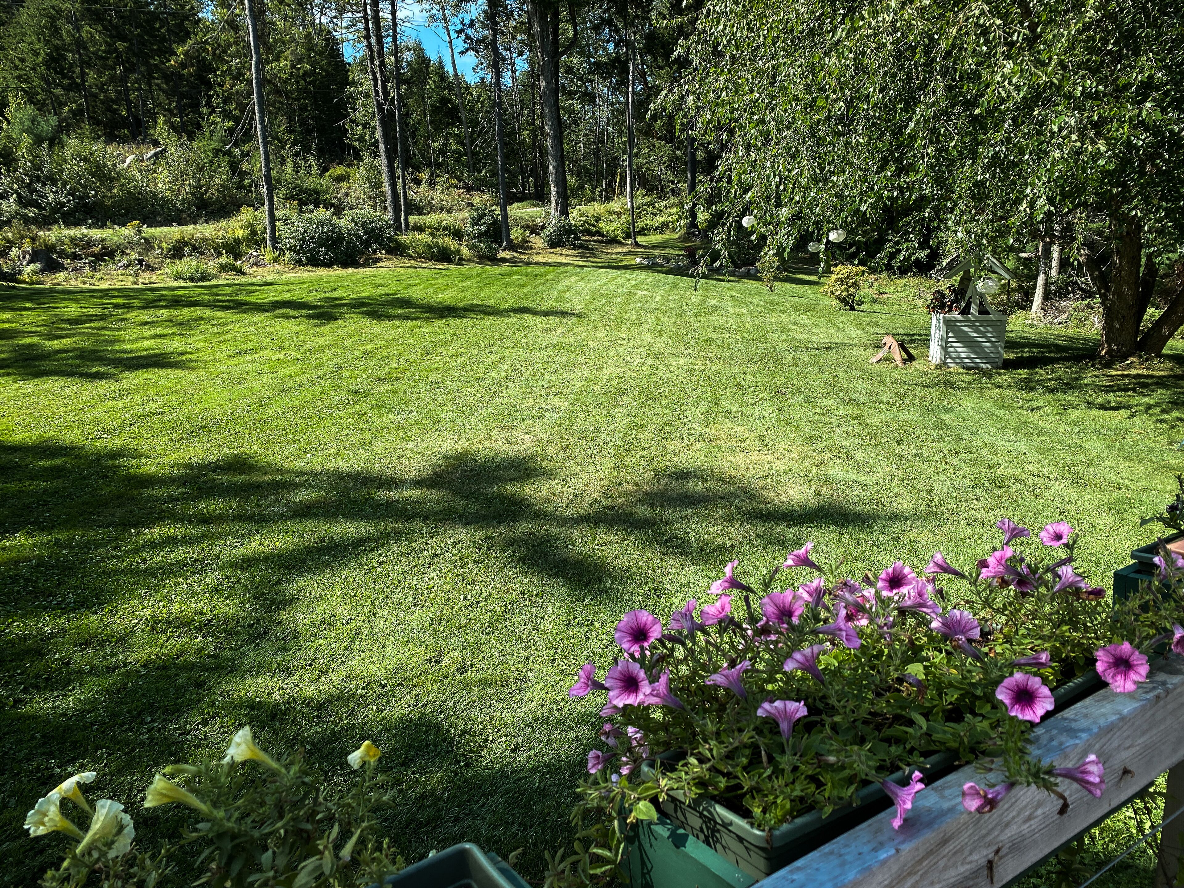 Áreas de la propiedad