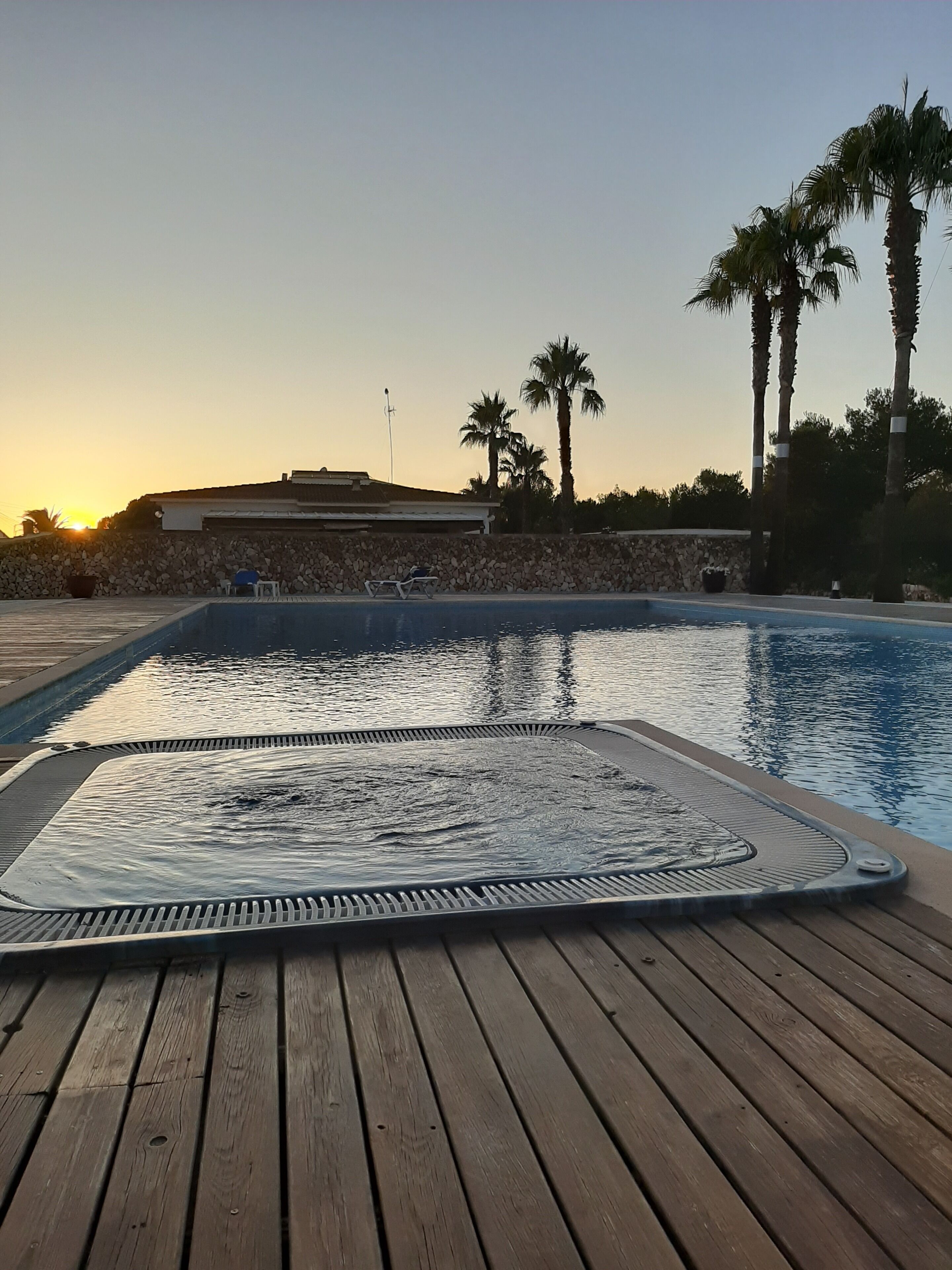 A wooden deck with a hot tub, a swimming pool, and palm trees.