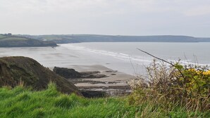A coastal landscape with a beach, grassy areas, and a distant view of a town.