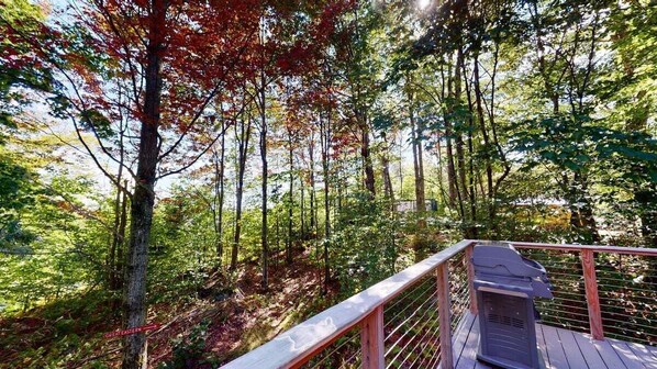 Property grounds - Great Escape Ski Lodge: Your Ultimate Trailside Getaway Awaits! (Killington)