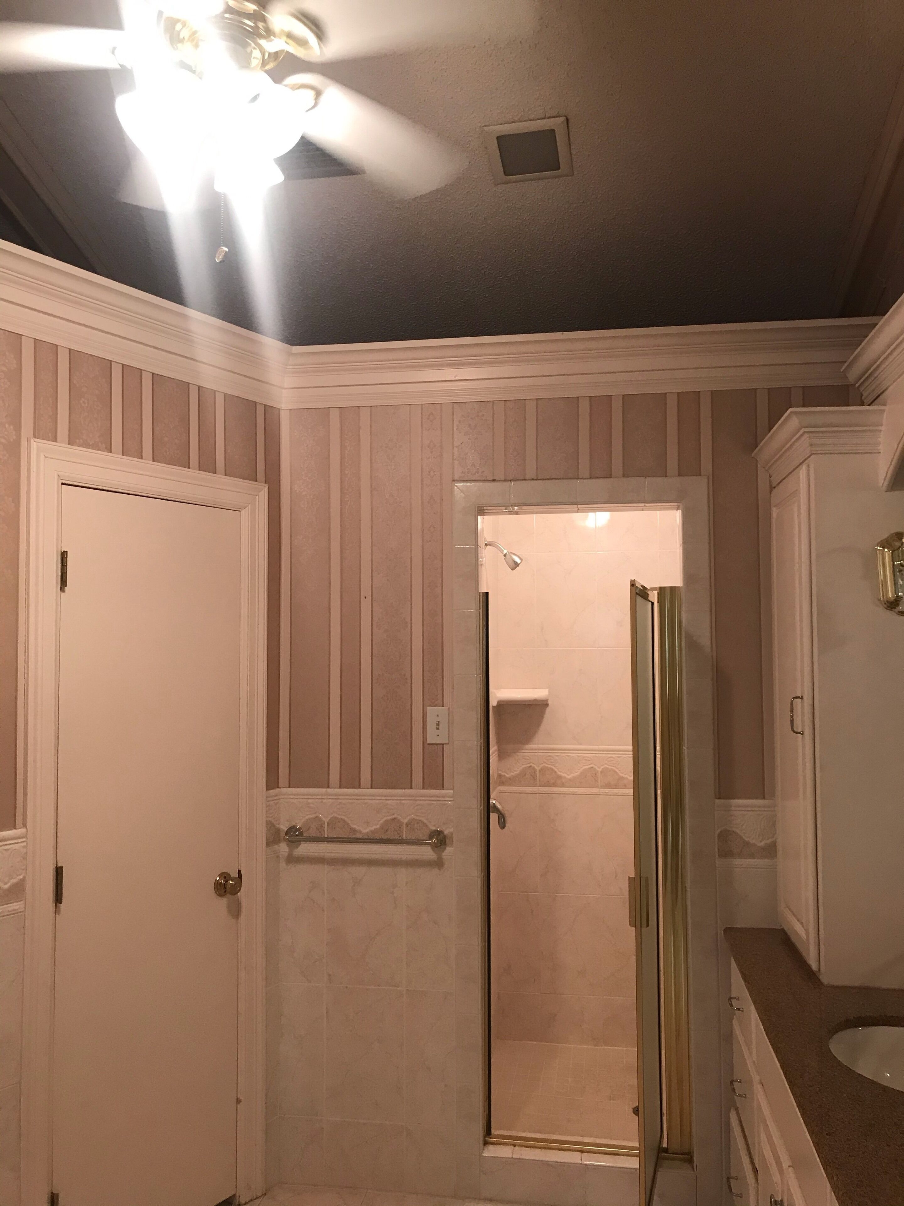Ein Badezimmer mit Dusche, Waschtisch und Deckenventilator.