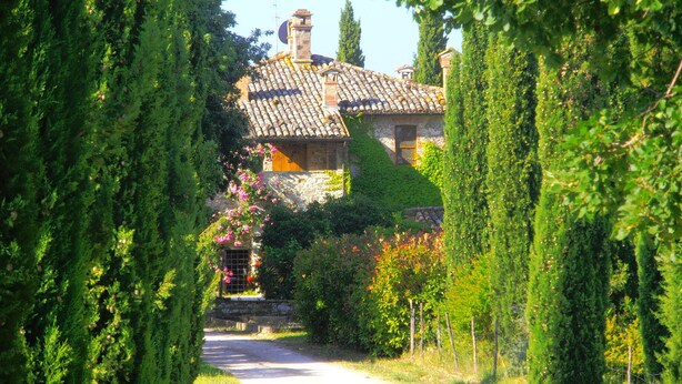 Un edificio de piedra con techo de tejas, rodeado de abundante vegetación y un sendero que lo conduce.