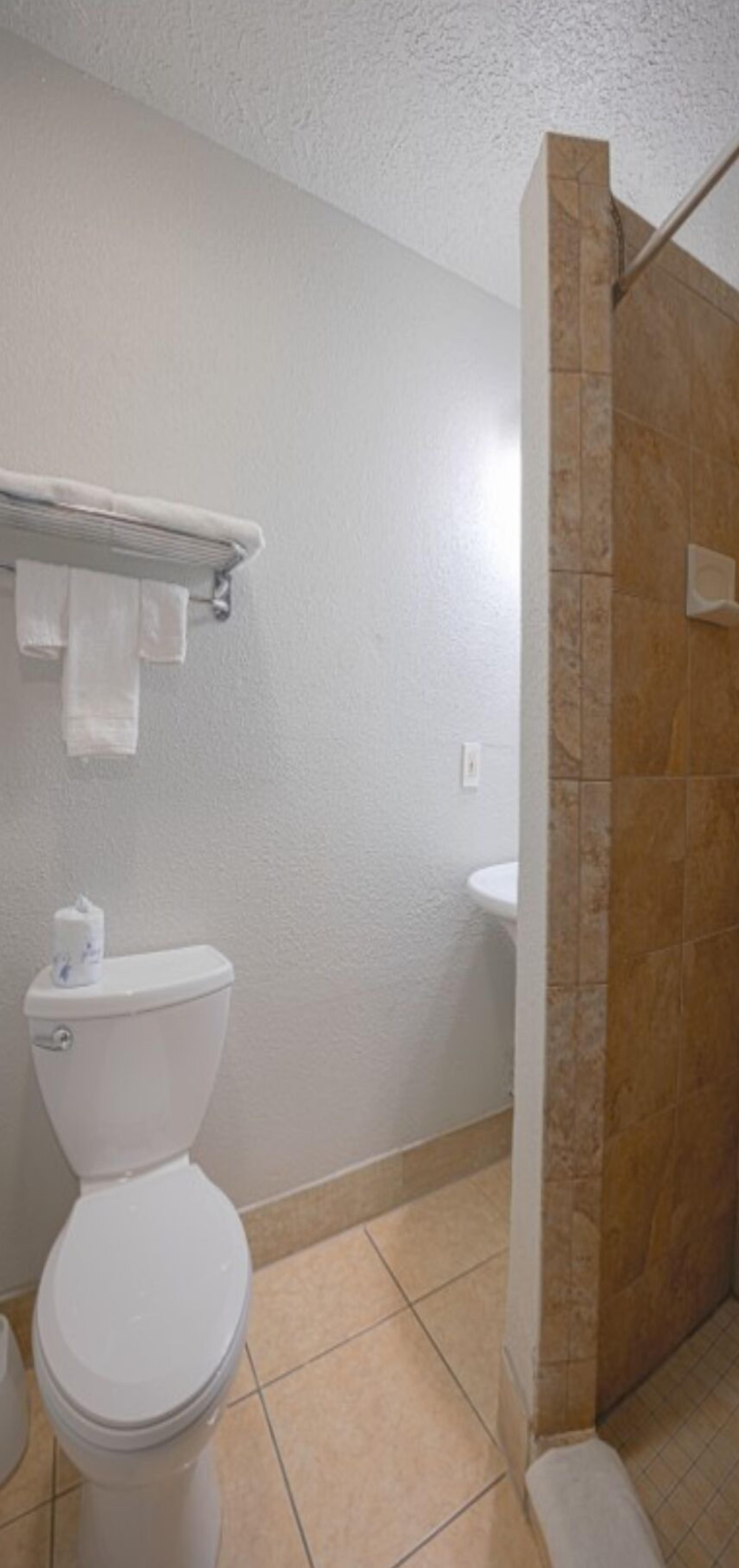 A bathroom with a toilet, a sink, and a shower area.