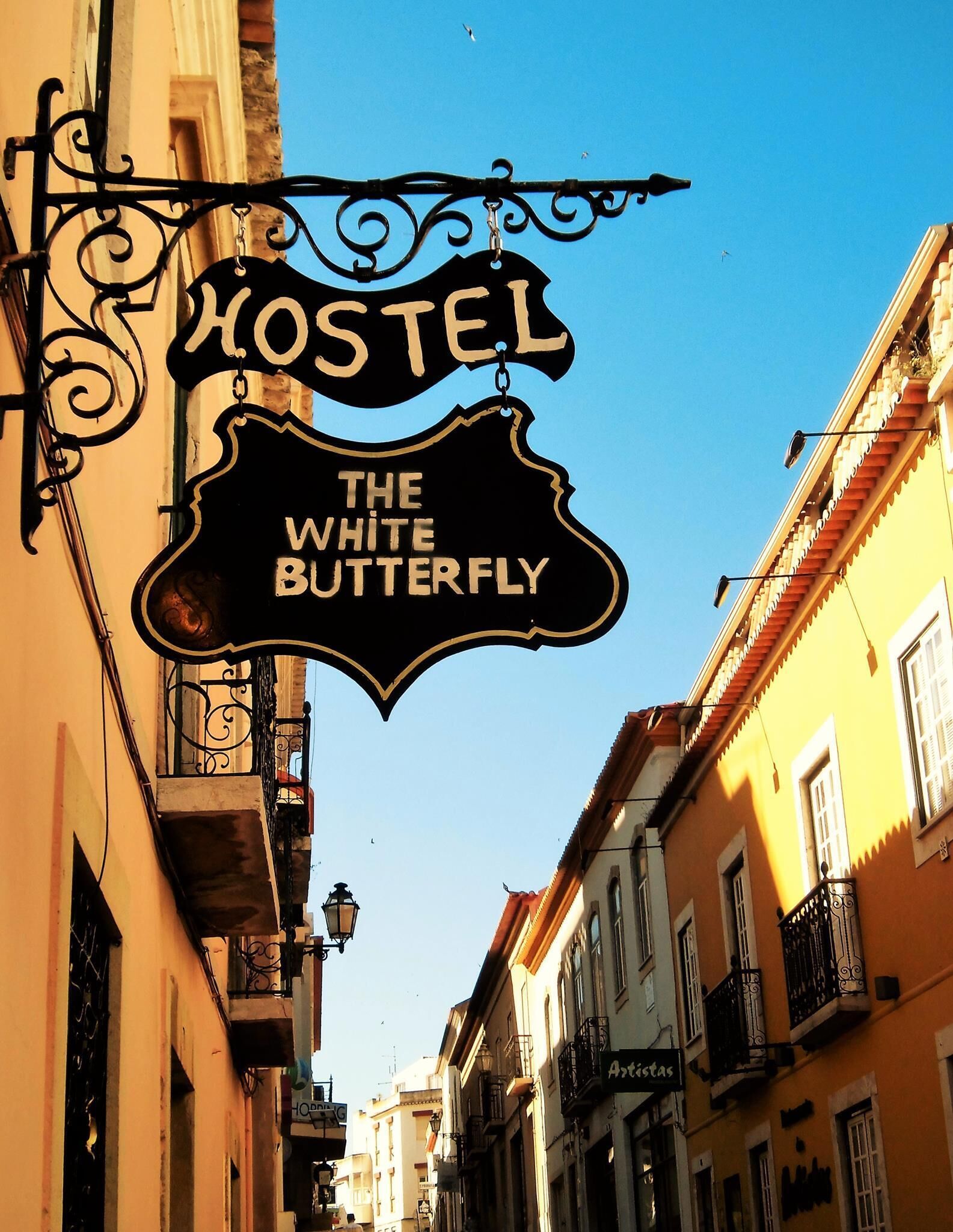 Foto - Hostel The White Butterfly