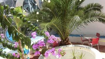 Terraza o patio