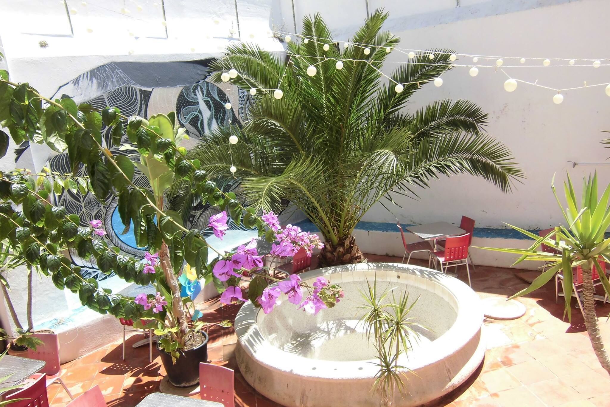 Foto - Hostel The White Butterfly