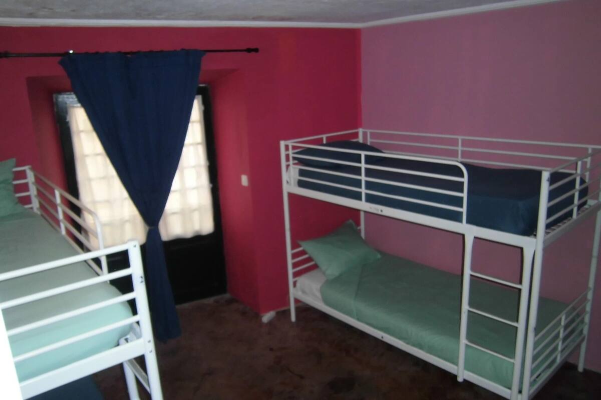 A room with bunk beds, a window with curtains, and a red wall.