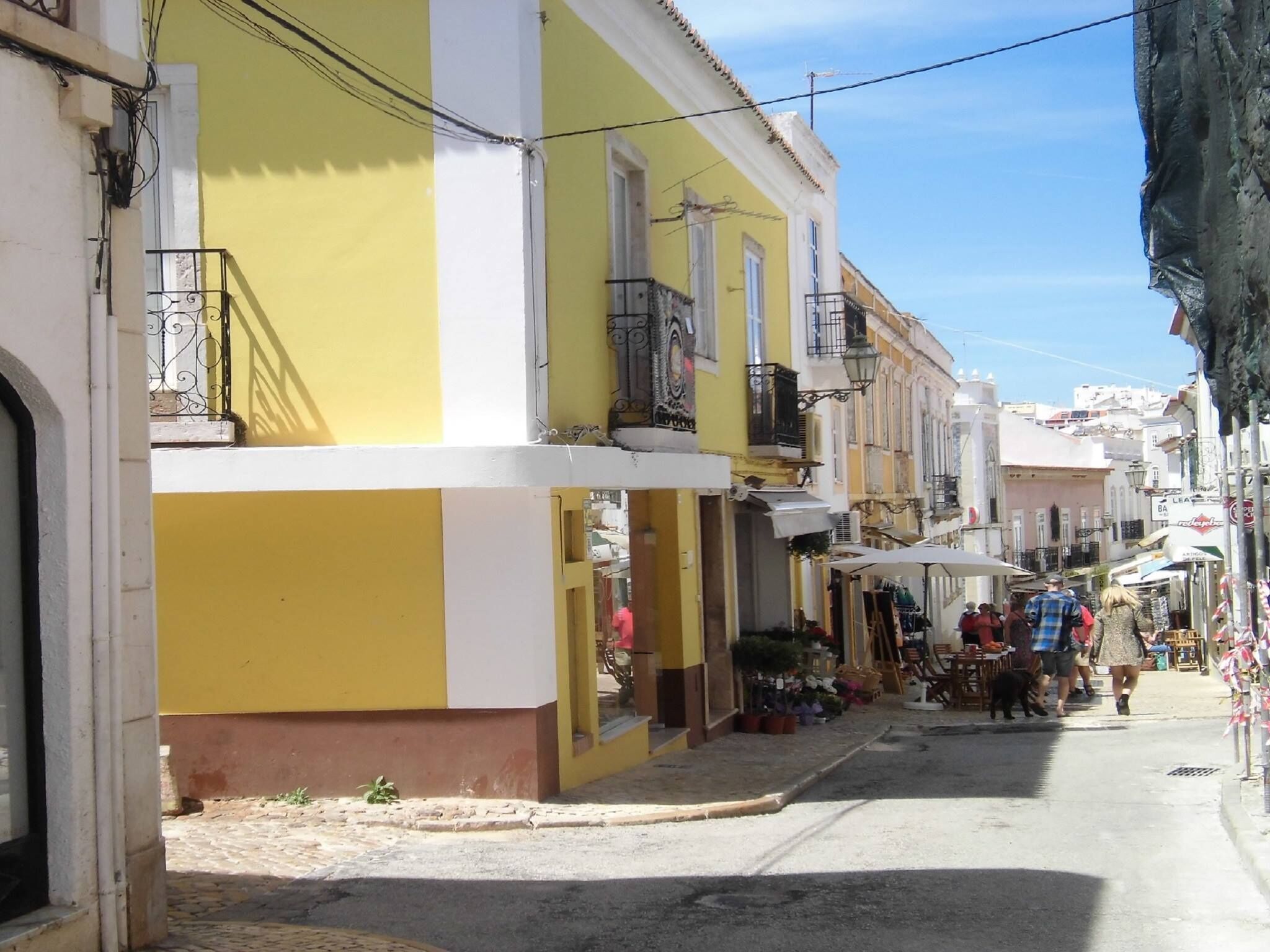 Foto - Hostel The White Butterfly