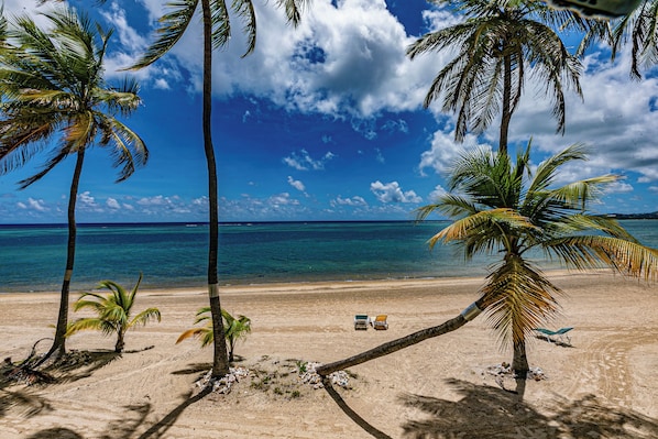 On the beach, sun loungers, beach towels - Beachfront, Oceanfront Beautiful Remodeled condo on Sugar Beach (Christiansted)