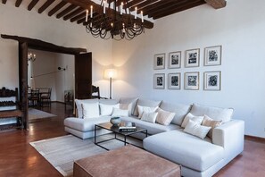 Télévision, cheminée, livres