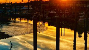 Marina - Beach Lover's Blvd-306B Oceanfront, pools, lazy river, hot tubs, pickleball (Myrtle Beach)