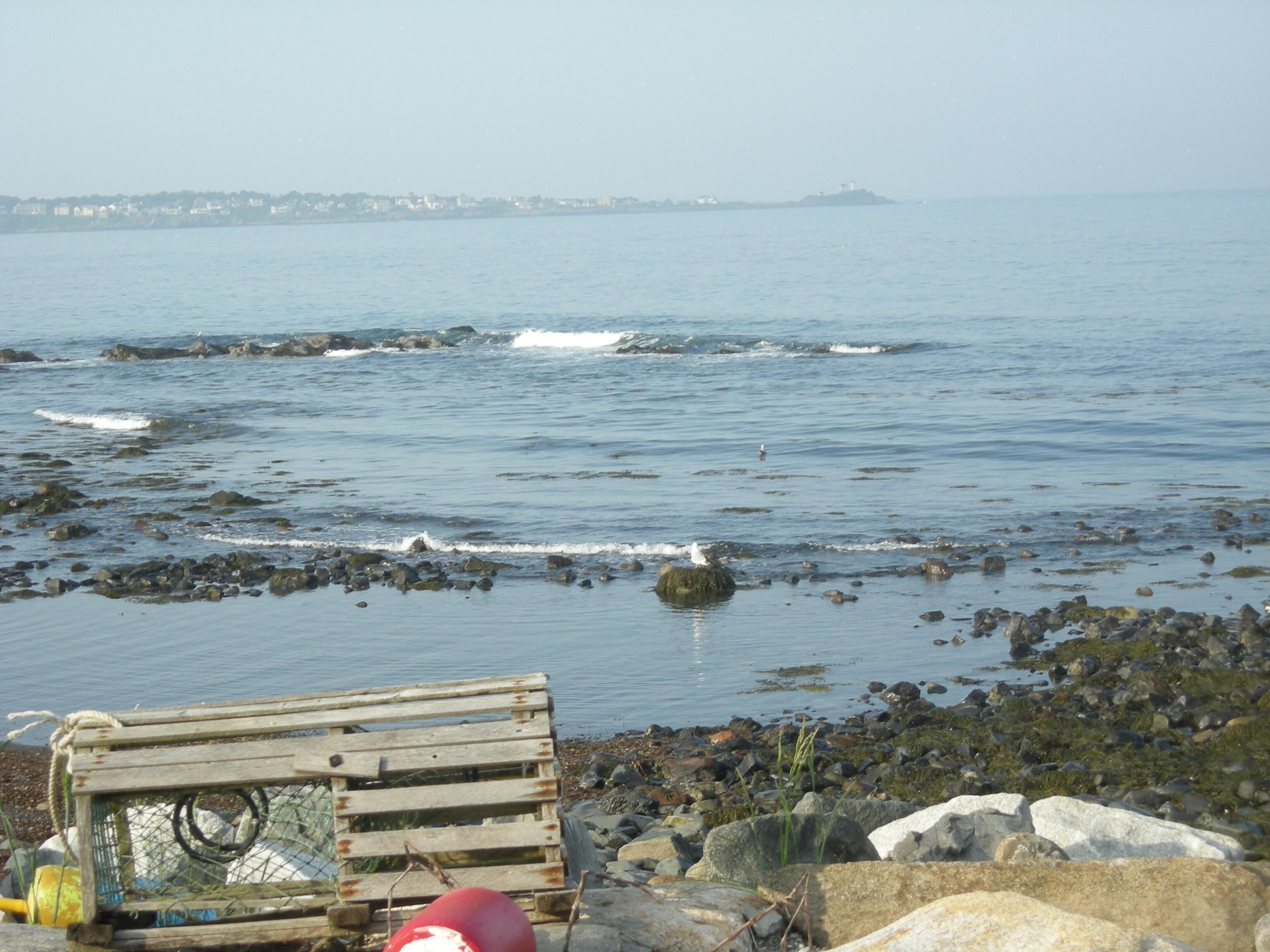 40' from the ocean! Fri check in. Magnificent views of the coast and lighthouse!