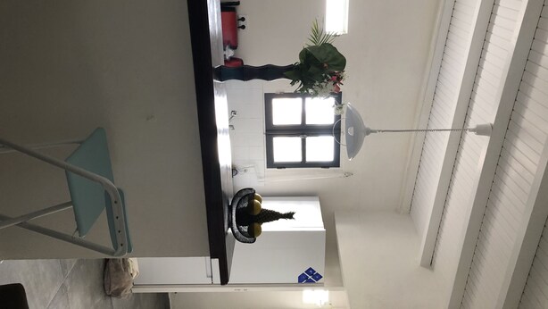 Una habitación con cama, ventana, ventilador de techo y planta.