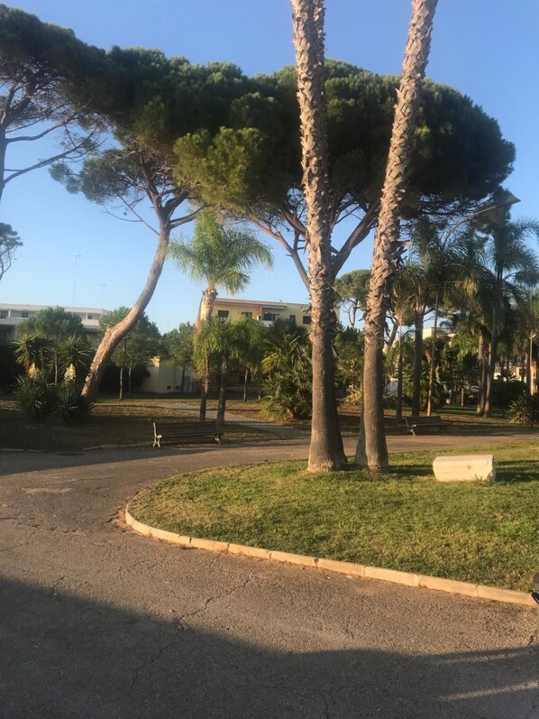 A park with trees, a bench, and a road. - Villa Susanna (Brindisi)
