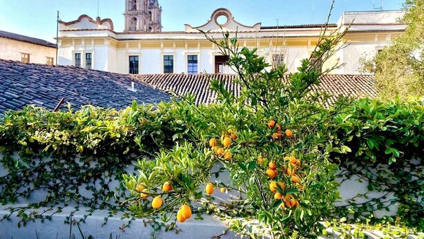 Un edificio con tejado de tejas y una torre de campanas al fondo.