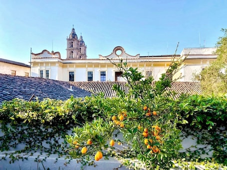 Terraço/pátio. Arawi Hotel Boutique