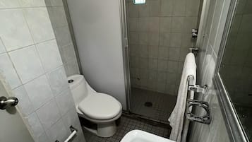 A small bathroom with a toilet, a sink, and a shower stall.