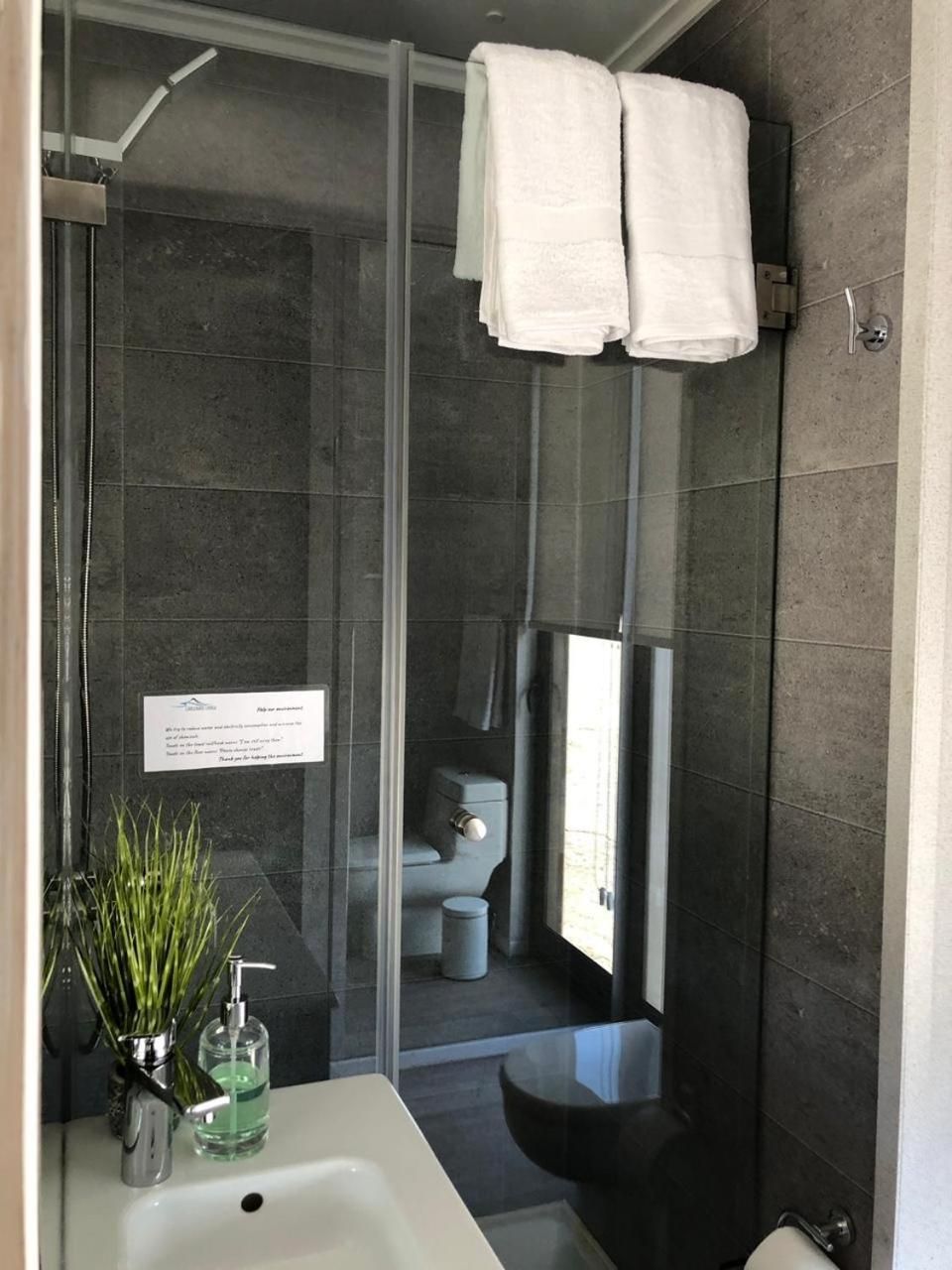 A modern bathroom with a glass shower enclosure, a sink with a plant, and a toilet visible through the glass.
