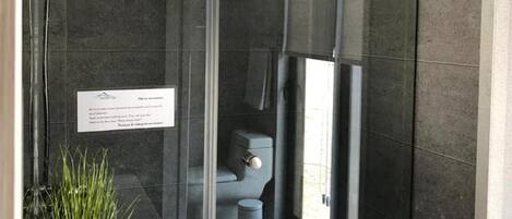 A modern bathroom with a glass shower enclosure, a sink with a plant, and a toilet visible through the glass.