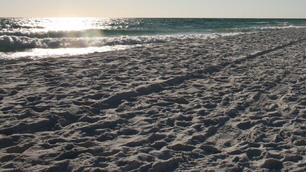 A sandy beach with visible footprints leading to the water. - Amalfi Coast - Spacious Condo! (Miramar Beach)