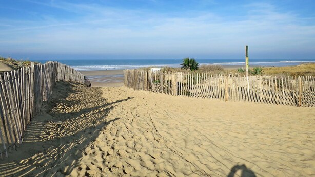 Una spiaggia sabbiosa con recinzioni in legno e vista libera sull'oceano.