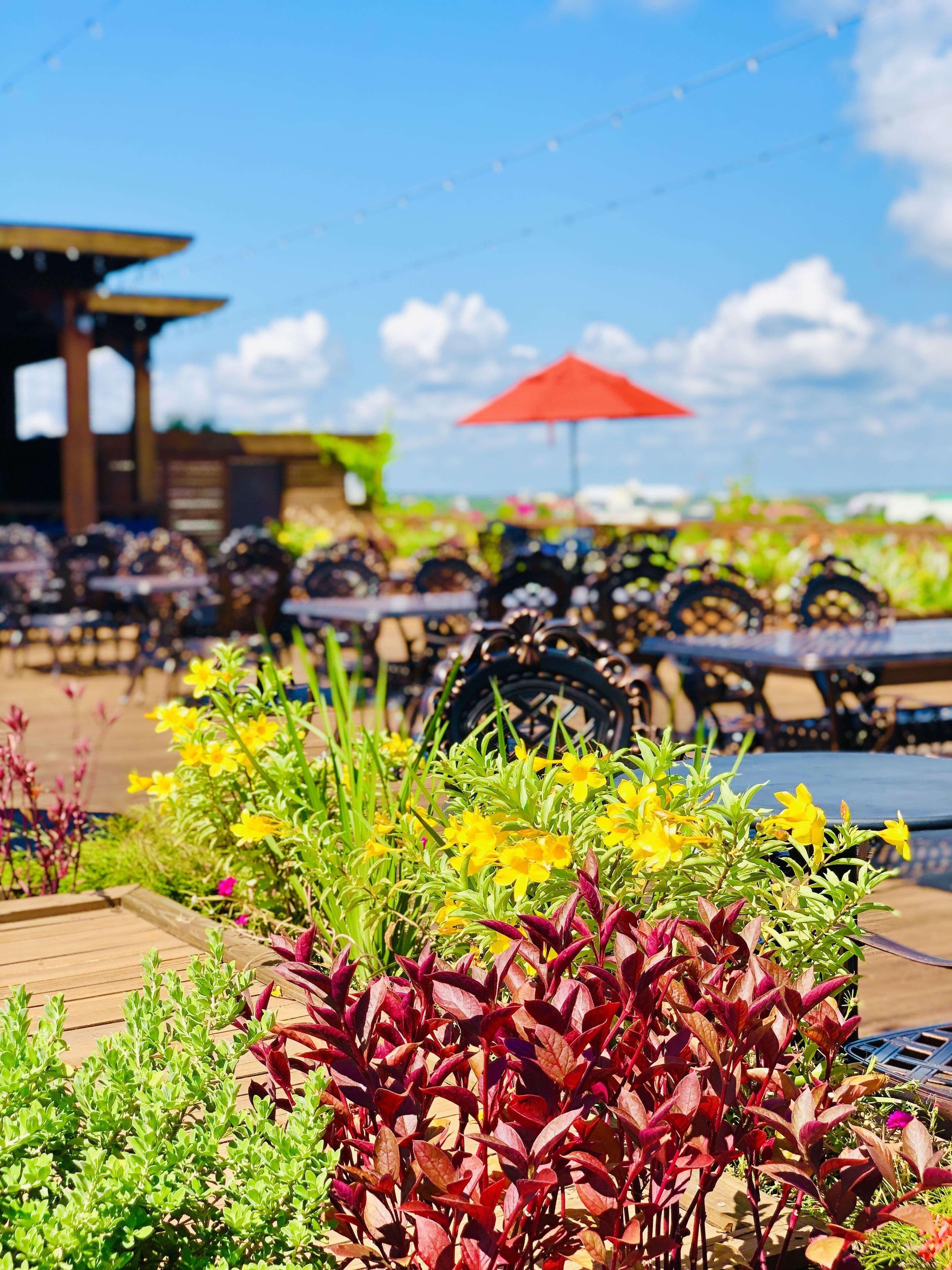 A garden area with various plants and flowers, outdoor seating with umbrellas, and a view of the sky.