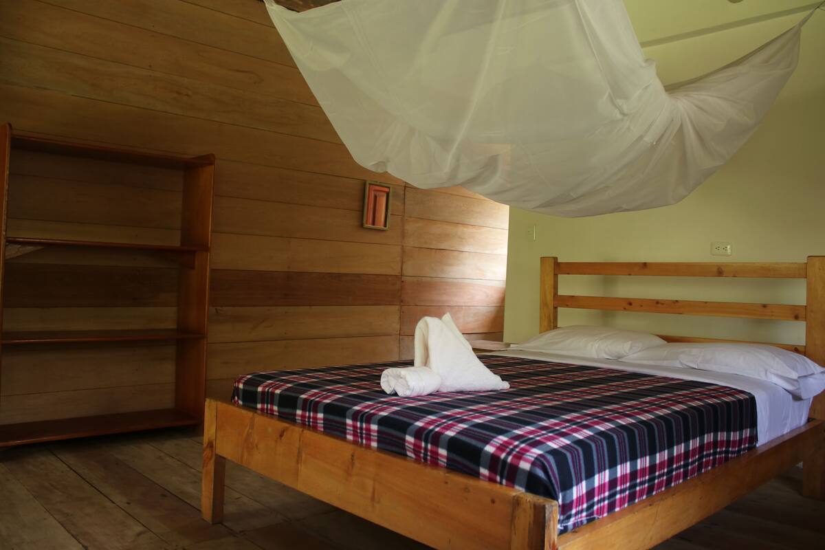 Basic Double Room