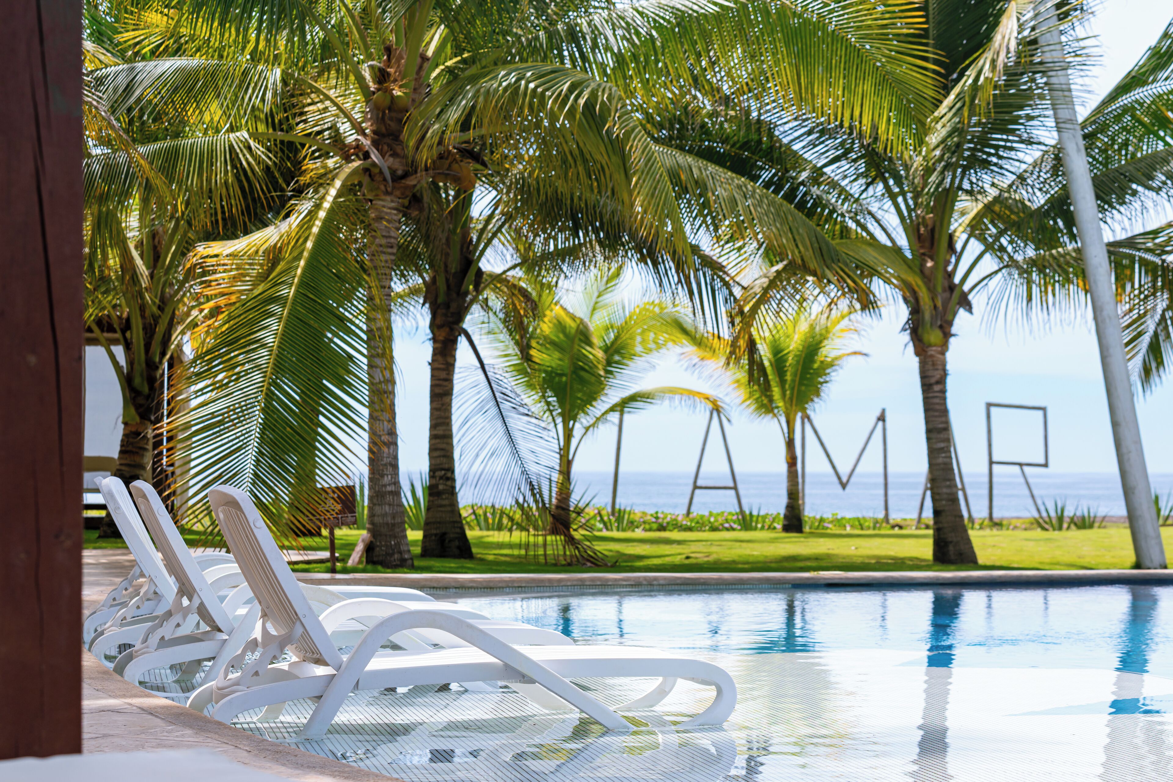 Un espace aménagé au bord de la piscine, avec des chaises longues blanches, des palmiers et une vue sur l’océan.