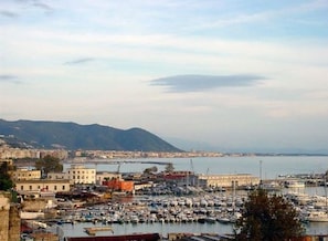 A marina with numerous boats docked, a harbor with buildings, and a mountainous backdrop.