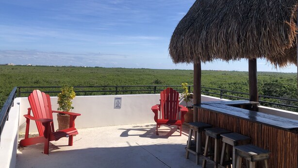 Poolside bar - Upscale Modern Home Rooftop Pool Tvs AC (Puerto Morelos)