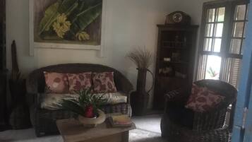 TV, lareira, mesa de pingue-pongue