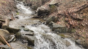 A rocky stream with water flowing over rocks, surrounded by dry leaves and branches.