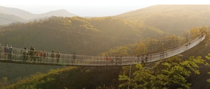 A suspension bridge with people walking across it, surrounded by lush greenery and mountains in the background.