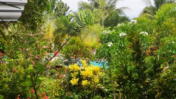 Deluxe Double Room, Garden View | Garden view